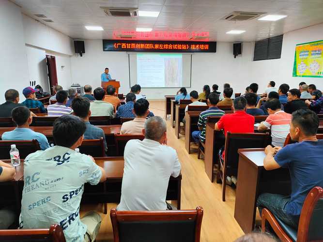 科技赋能甘蔗产业 广西甘蔗创新团队崇左综合试验站开展技术培训会