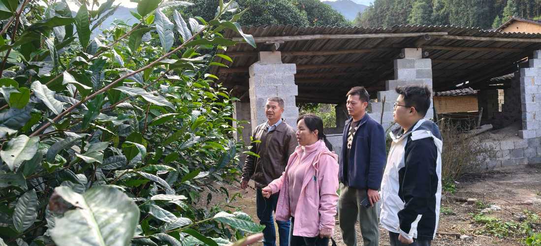科技下乡助农忙 广西茶叶创新团队柳州综合试验站赴蒙山开展技术服务