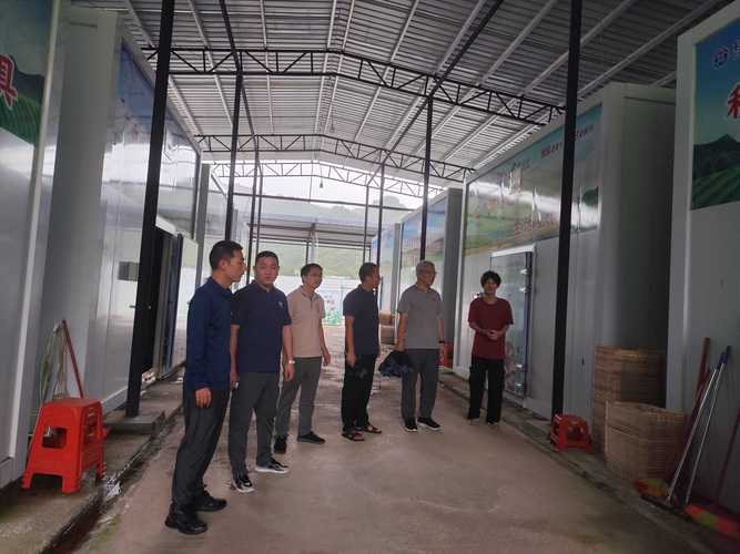 科技赋能产业振兴 广西食用菌创新团队赴德保县那造村开展技术服务