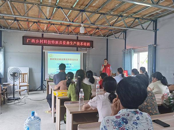 广西蚕业技术推广站乡村科技特派员深入一线开展蚕桑生产技术指导服务